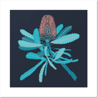 Banksia Flower Posters and Art